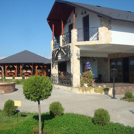 Pension La Taticu Săcălăşeni 外观 照片